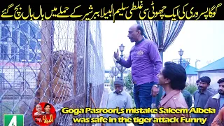 Goga Pasroori,s mistake Saleem Albela was safe in the tiger attack Funny