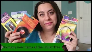 My First Dollar Tree Haul since I've returned | Looking like a hot mess!!!