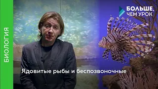 Ядовитые рыбы и беспозвоночные