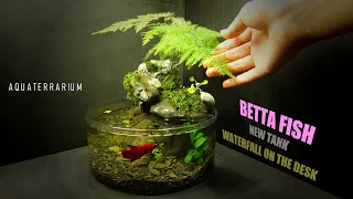 Amazing Betta Fish Waterfall Tabletop Aquarium l Aquascape DIY No Co2,No Filter,No Ferts