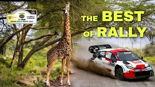 THE BEST OF WRC SAFARI RALLY KENYA 2023 - Action, pure sound and Maximum Attack