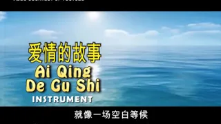 AI QING DE GU SHI 爱情的故事 INSTRUMENT