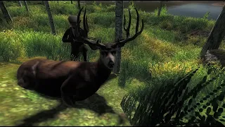 INSANE Blacktail: The Hunter Classic Road To Top 1000 #21