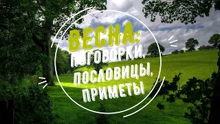 ВЕСНА: лучшие поговорки, пословицы, приметы