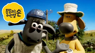 두더지의 복수 - 시리즈 5 - 숀 더쉽 [Shaun the Sheep] [포함 시즌 6 의 클립]