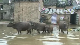 Villages in east China provinces flooded after continuous torrential rain