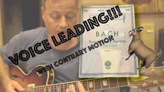 Bach inspired contrary motion practice (How To!)