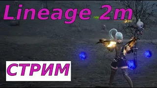 Lineage 2m Стрим. Итоги месяца