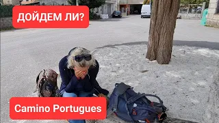 Как дойти и не сломаться. Путь Святого Якова. Португальский путь. Camino Portugues por la Costa.