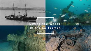 Diving the Wreck of the SS Tasman