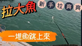 魚多到跳出水面，帶新手開筏學習，沒想到讓他拉爽爽，斷到唉唉叫