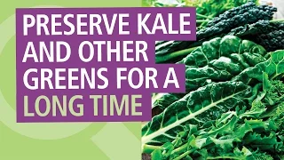 How To Preserve Kale and Other Greens for a Long Time