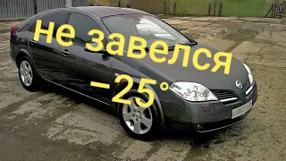 Ниссан не заводится / no start nissan primera p12