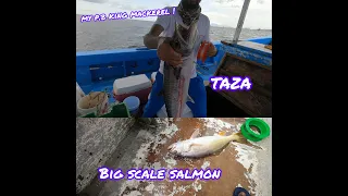 A LA VIVE AND BANKING FISHING ON THE WARLOCK WITH CAPTAIN SAM ! GULF OF PARIA, CARIBBEAN, TRINIDAD.