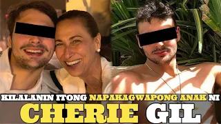 Meet RAPHAEL ROGOFF, The Handsome Son of CHERIE GIL