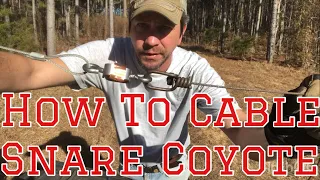 Trapping Coyotes with Cable Snares