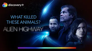 Operation animal mutilation l Alien Highway l discovery+