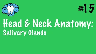 Head & Neck Anatomy | Salivary Glands | INBDE