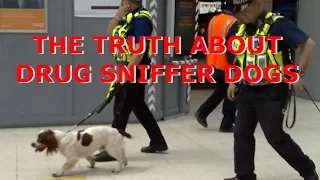 The Truth about Drug Sniffer Dogs