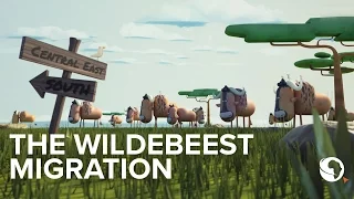 The Great Wildebeest migration explained: An animation