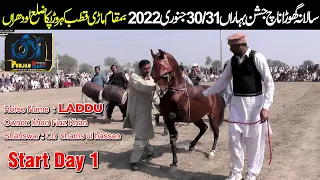 Laddu ll Ch Shamshulhassan ll Horse Dance ll Mari Qutab Kahroar Pakka Lodhran 30 January 2022