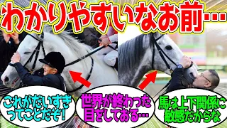 ゴルシ ← 馬という生き物の表情の豊かさを俺に教えてくれた名馬に対するみんなの反応！【競馬 の反応集】