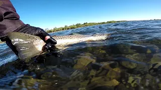 Limay Medio Poderoso - "Viento, Mucha Agua y Truchas