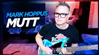 Mark Hoppus performs Mutt (blink-182) - NEW BASS!