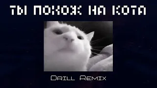 ты похож на кота (drill remix)