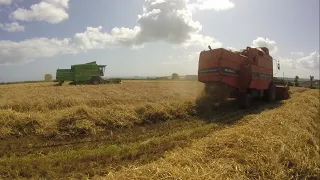 Combining By The Sea with Two Deutz Fahr Combine's