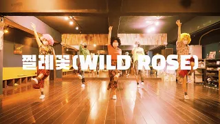 찔레꽃 라인댄스 (WILD ROSE LINE DANCE)ㅣK-Trot / K-Pop