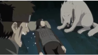 Funny Moment - Neji Mistakes Akamaru for Kiba - Naruto Shippuuden