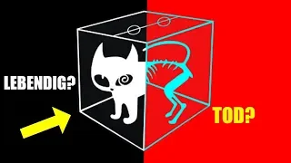 Schrödingers Katze - das größte Rätsel der Physik ist endlich gelöst