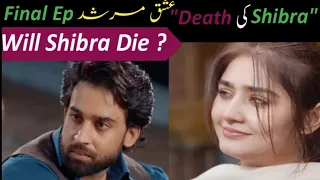 Ishq Murshid Will Shibra Die?