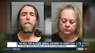 No bail for alleged animal abusers in Hampstead