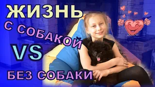 ЖИЗНЬ С СОБАКОЙ VS БЕЗ СОБАКИ