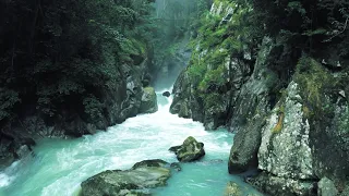 Cachoeiras paradisiacas e Riachos  em imagem 4k.