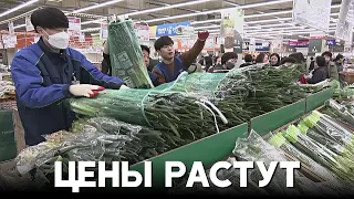 Южнокорейцы покупают субсидированный лук и жалуются на рост цен