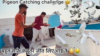 4 min मे कबूतर पकड़ो और लेजाओ 😍 !! Subscriber trying to Win 🤑10 Pigeons 🐦🕊