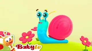 Jejak Siput | BabyTV Bahasa Indonesia