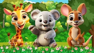 Happy animal moment: Koala, Kangaroo, Giraffe, Seal, Seagull, Ponny - Animals sound