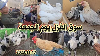 سوق الغزل يوم الجمعة انواع الدجاج العربي الاصلي ودجاج الزينة والحمام مع الأسعار 2023/11/17