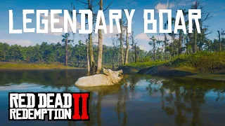 Red Dead Redemption 2 - 4K Max HDR PS5 Graphics! Legendary Boar Tutorial