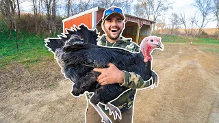 I Bought a GIANT PET TURKEY for My BACKYARD FARM!!!