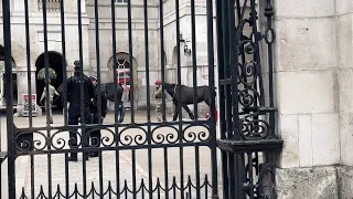 Horseguard parade Venue securely locked for transportation of horses #horseguardsparade #kingsguard