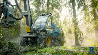 Market-leading harvester for stand operating thinning ROTTNE H8