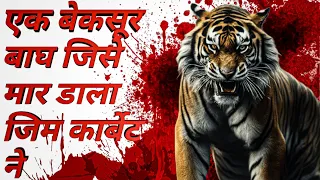 Bachelor of Powalgarh - The Tiger who Changed Jim Corbett Forever । Facts Phylum