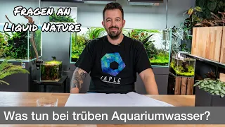 Was tun bei trüben Aquariumwasser? | Fragen an Liquid Nature