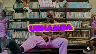 Harmonize -  Ushamba ( Official Music Video )