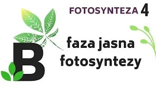 FAZA JASNA -fotosyntezy - PRZEBIEG fotosyntezy - fotosynteza - KOREPETYCJE z BIOLOGII - 58